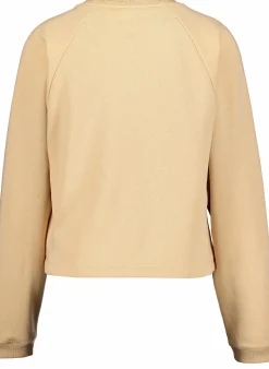 crewneck croptop sweatshirt